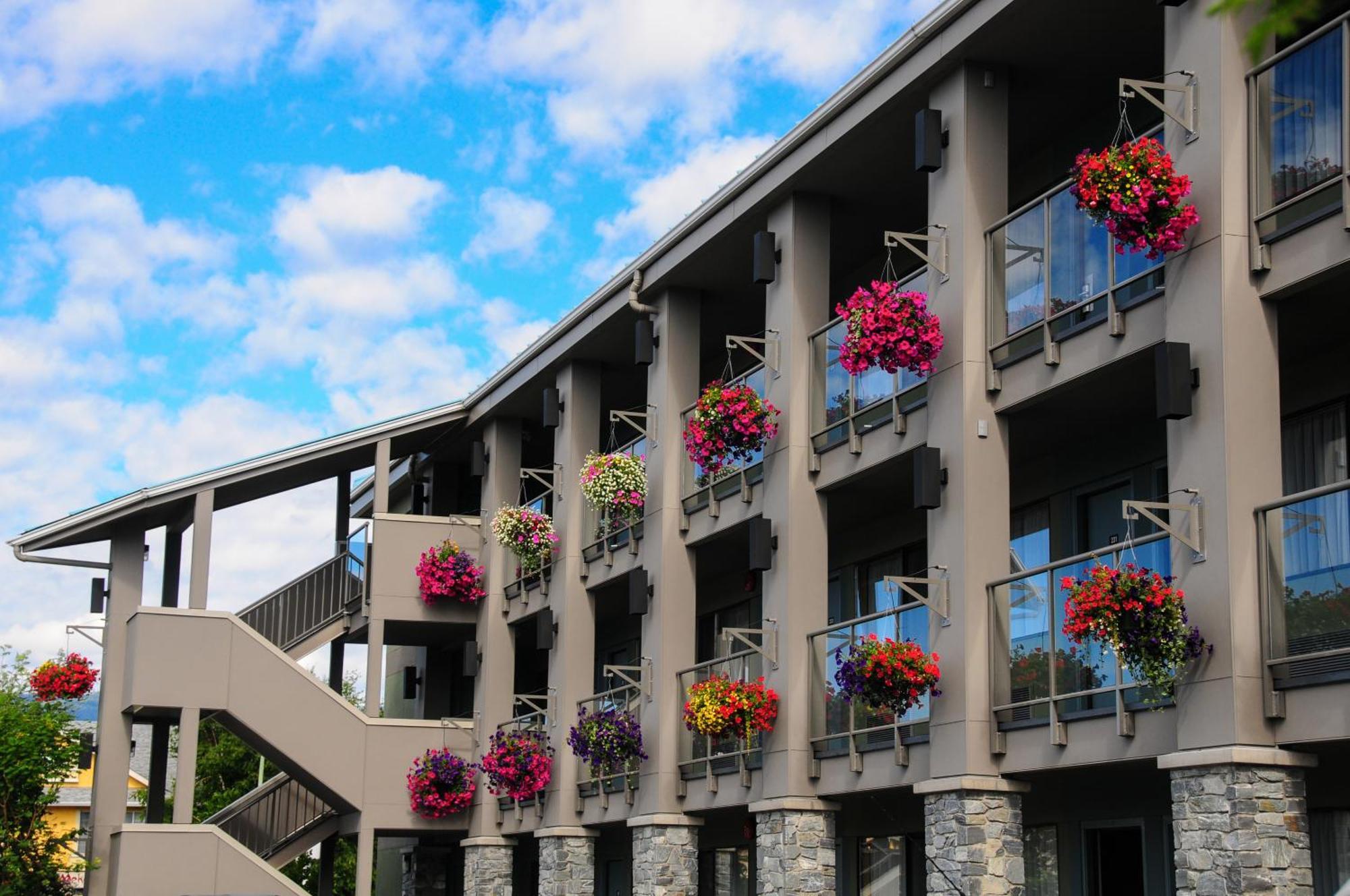 Accent Inns Burnaby Exterior photo
